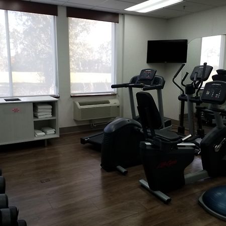 Holiday Inn Express Daytona Beach - Speedway, An Ihg Hotel Экстерьер фото